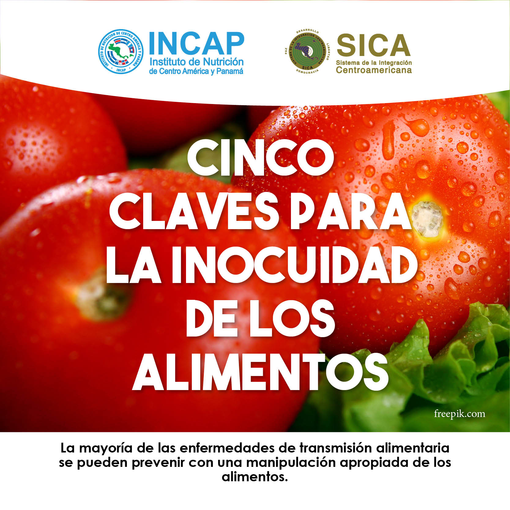 Alimentos Inocuos Mejor Salud 6995