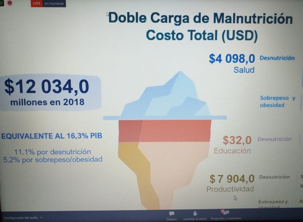 Se presentó un informe sobre la doble carga de la desnutrición a estudiantes de nutrición y público en general