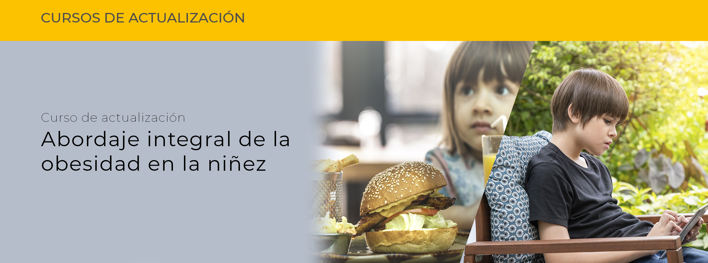 Curso integral de la obesidad en la niñez