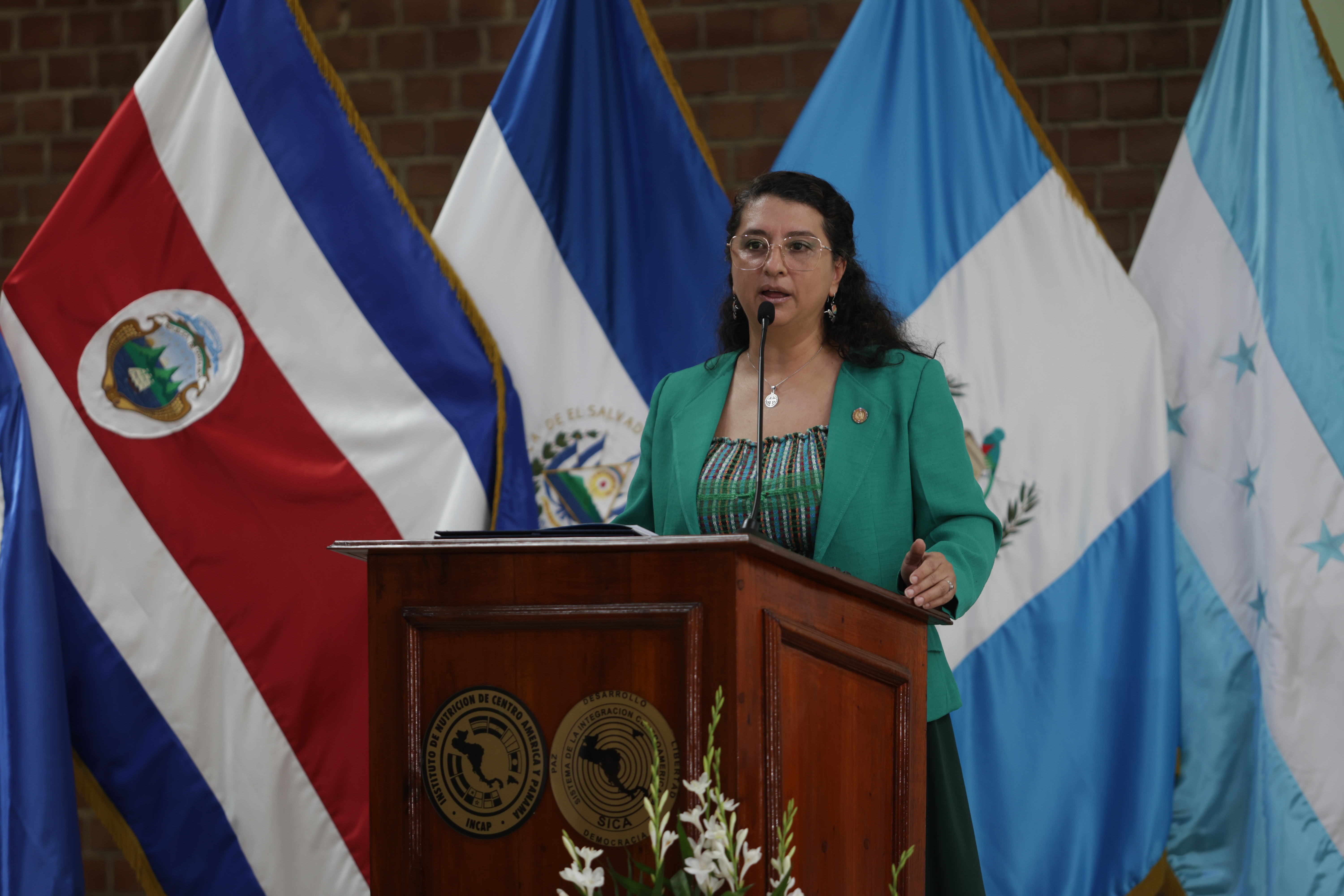 Entrega de certificacin como Amigos de la Lactancia Materna a hospitales 7